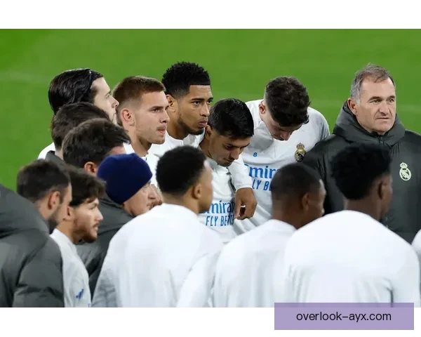 皇马最新动态：球队阵容调整与新赛季备战全解析